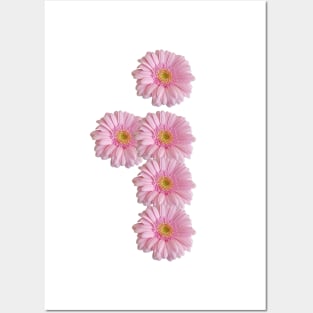 Letter i Pink Gerbera Daisy Posters and Art